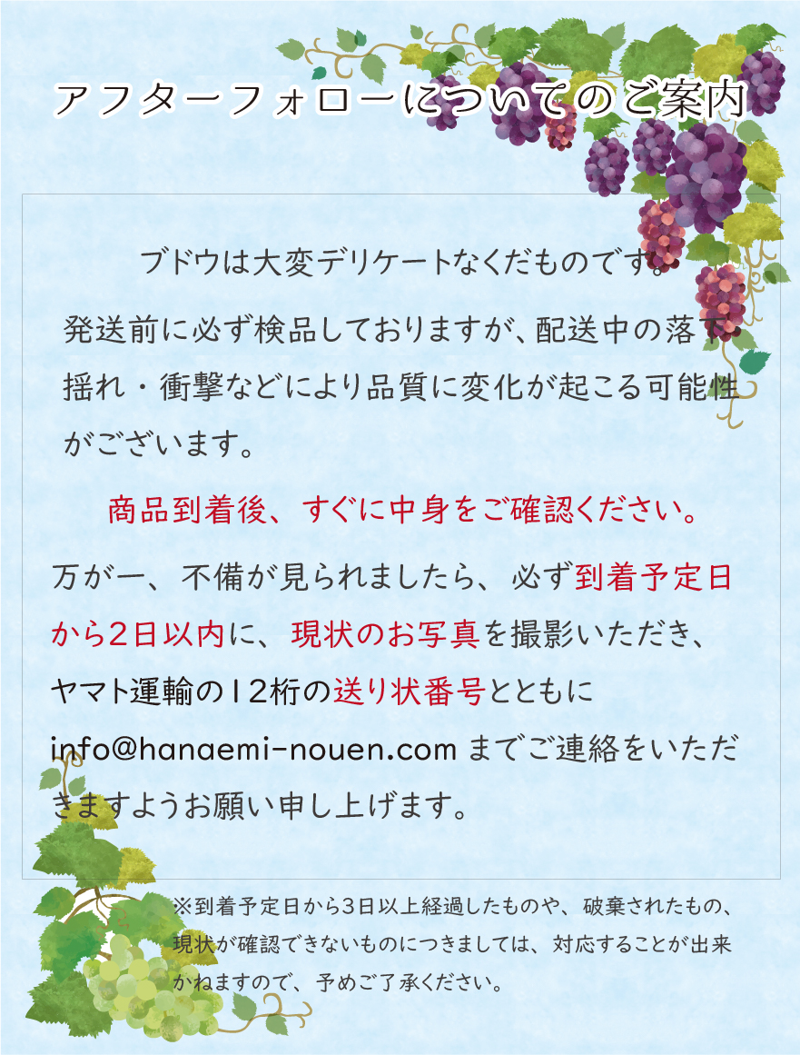 １３日発送贈答用極みシャインマスカット2房BKシードレス房2819g 贈答用極みシャインマスカット2房BKシードレス房2819g朝採り種